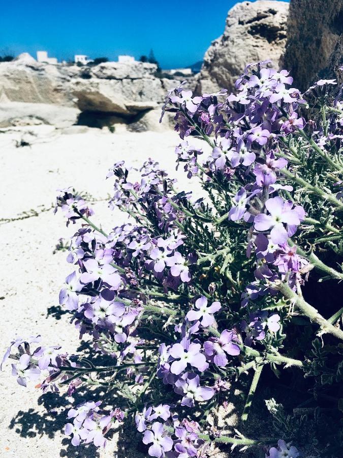 Suite Dei Cristalli Favignana Buitenkant foto
